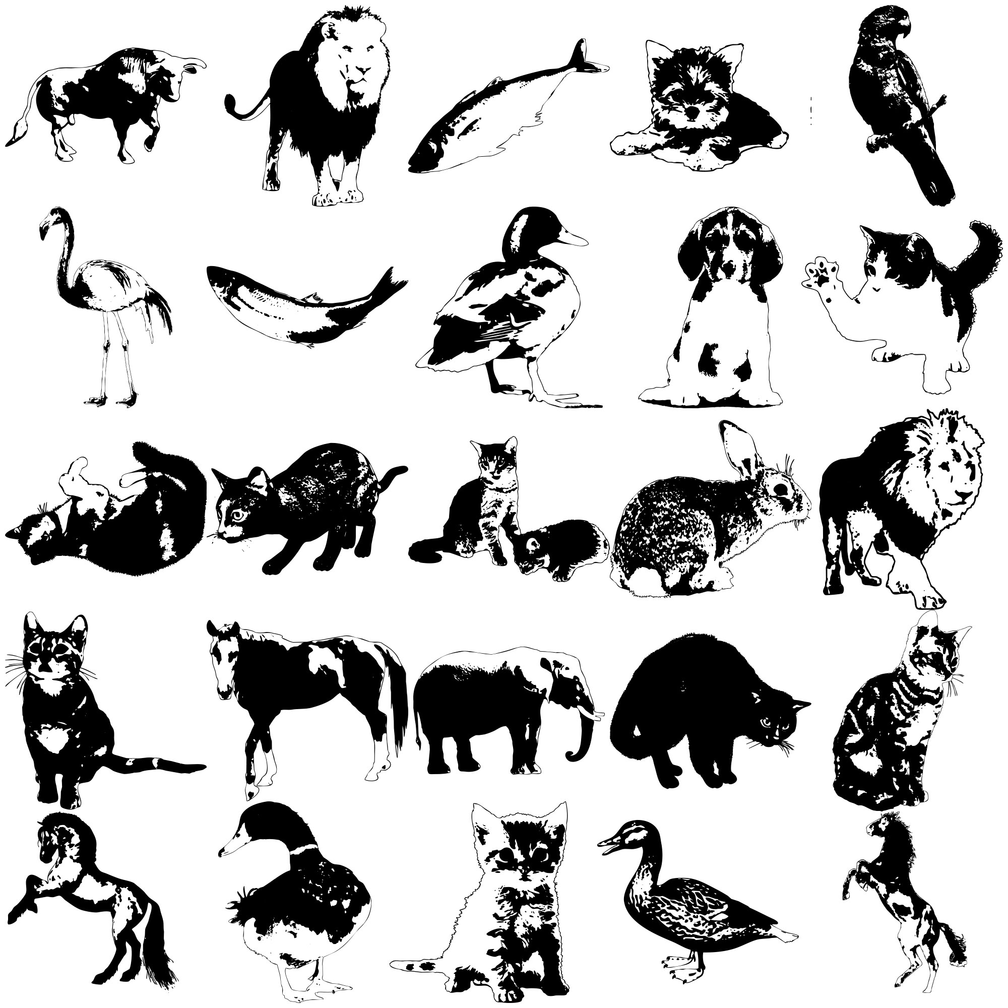 Formes Animaux (9)