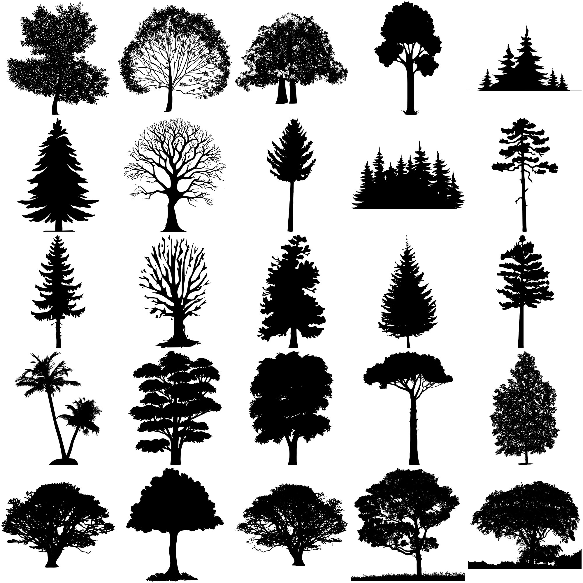 Formes Arbres (13) Formes Arbres (13)