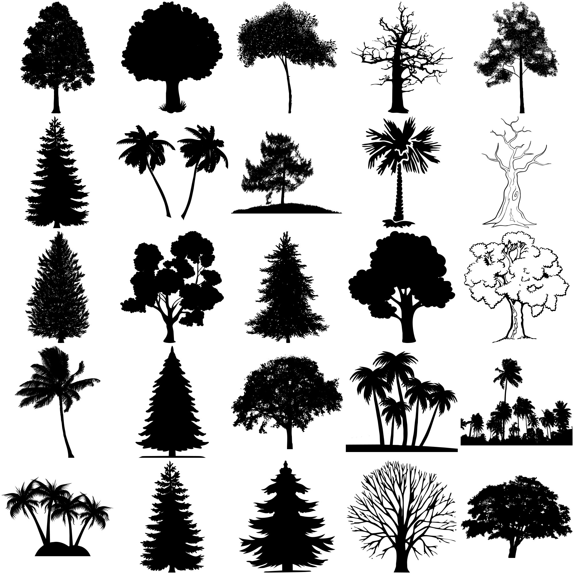 Formes Arbres (15) Formes Arbres (15)