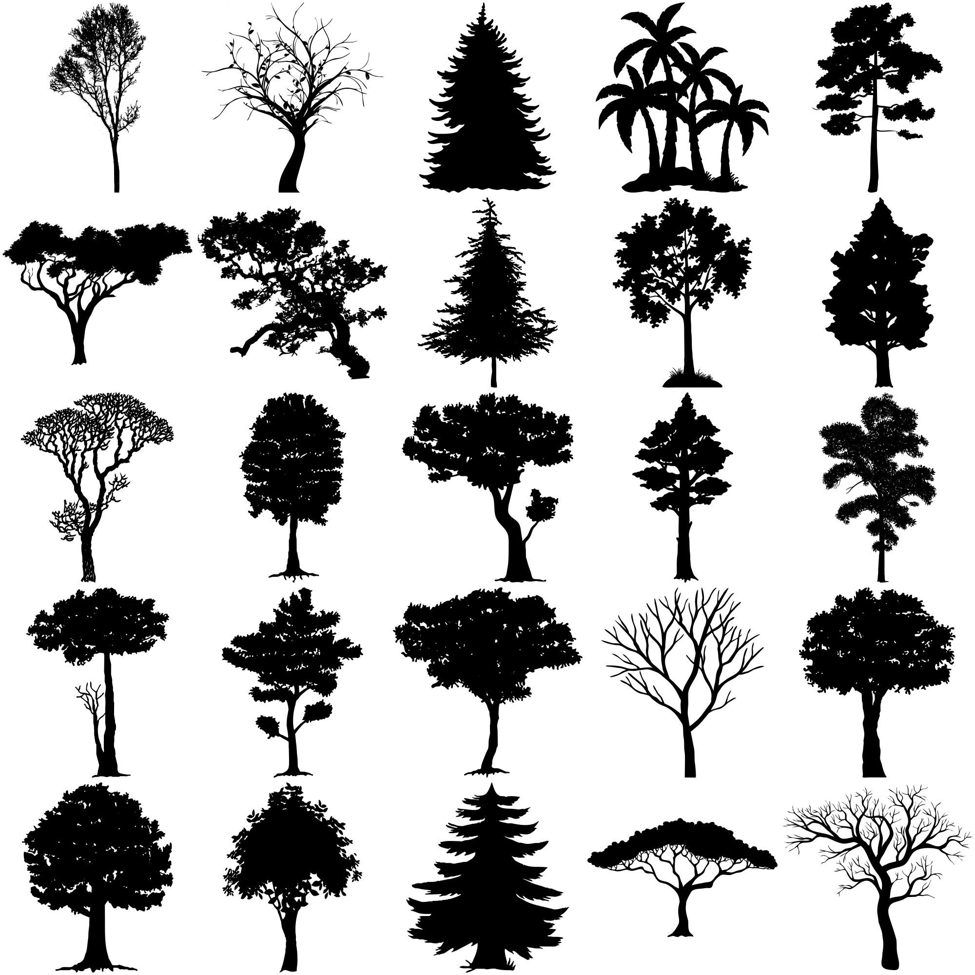 Formes Arbres (17) Formes Arbres (17)