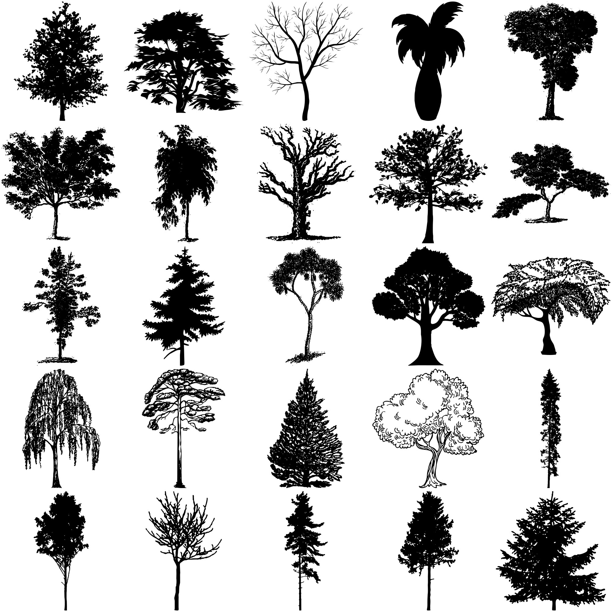 Formes Arbres (19) Formes Arbres (19)