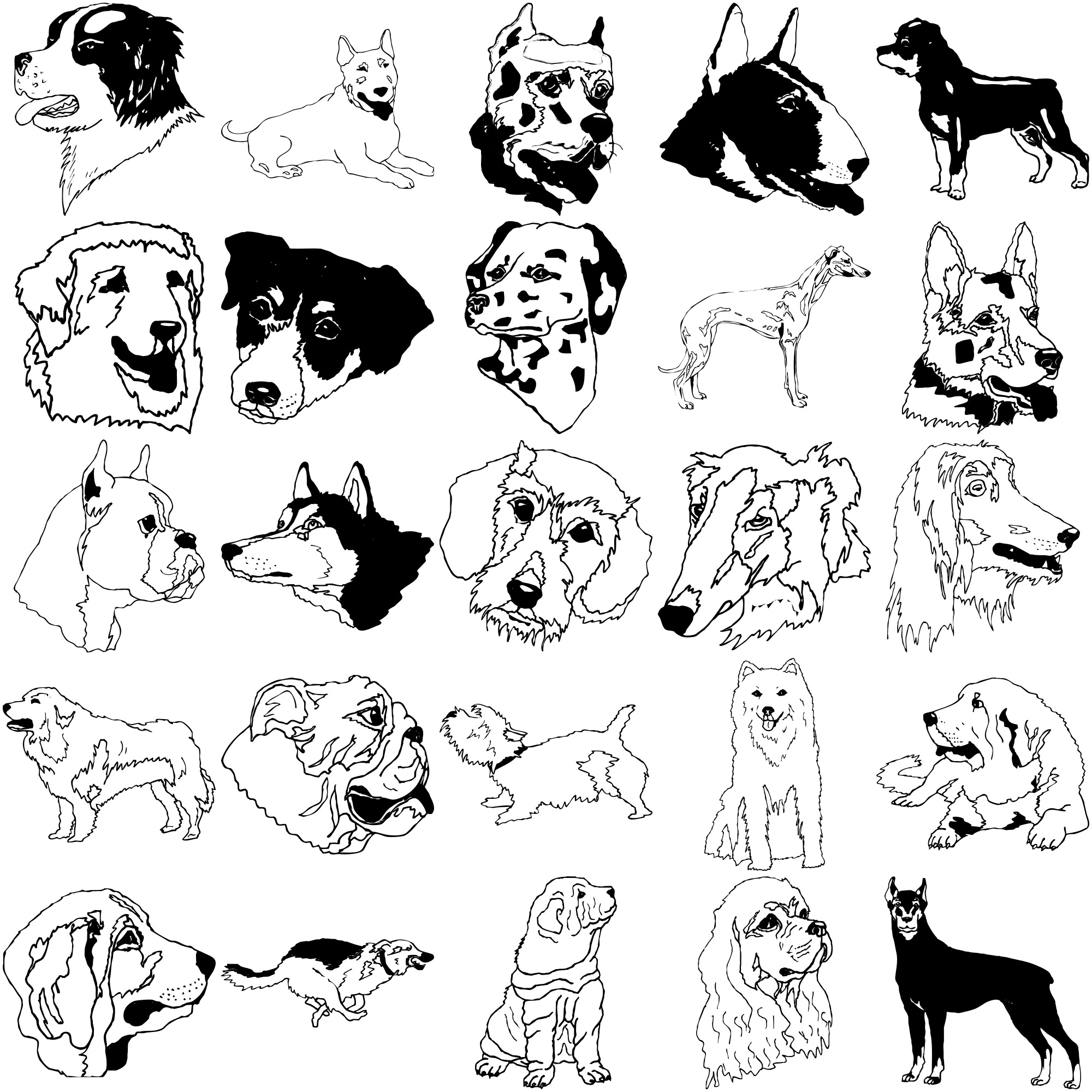Formes Chiens (2)