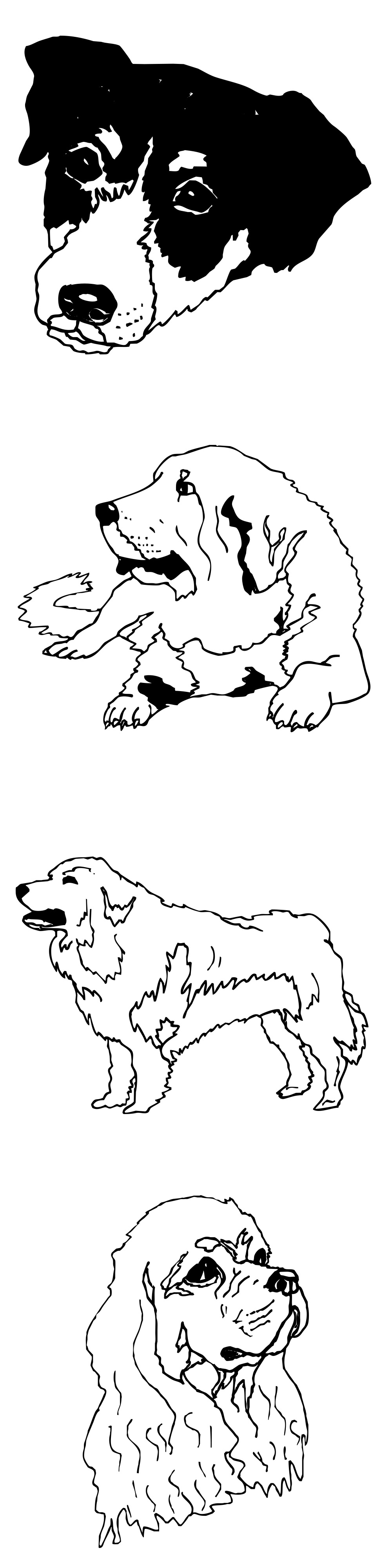 Formes Chiens (2)