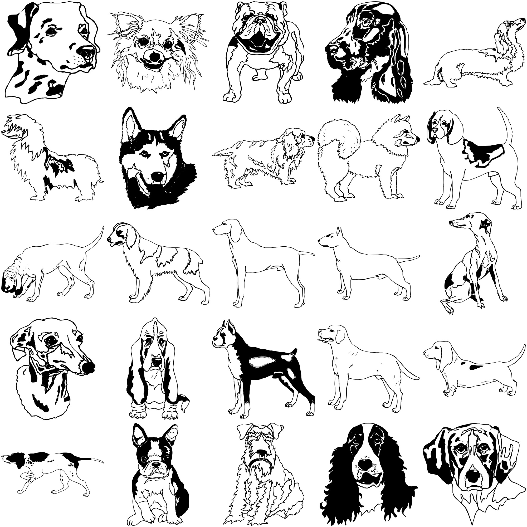 Formes Chiens (3) Formes Chiens (3)