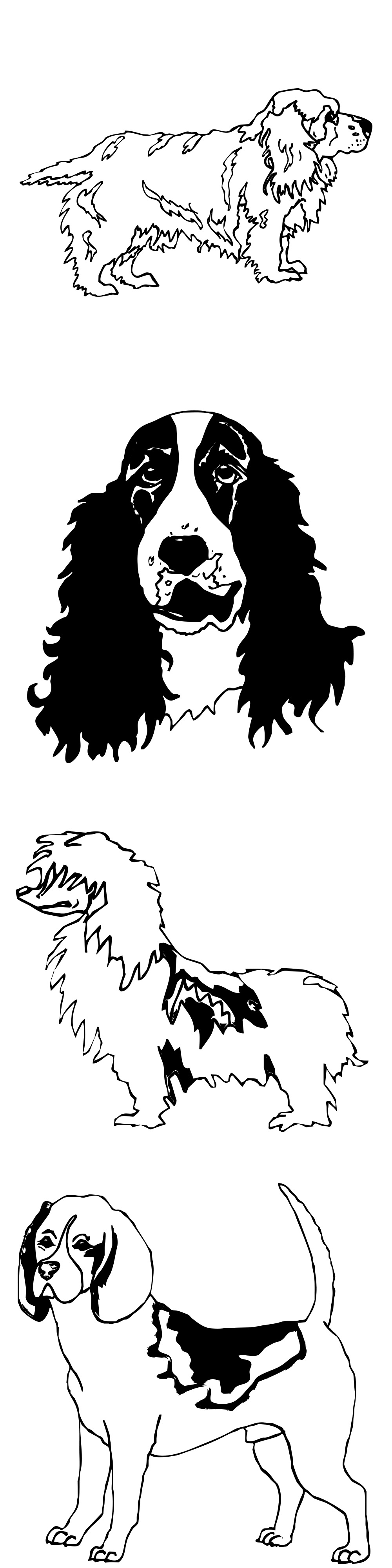 Formes Chiens (3) Formes Chiens (3)
