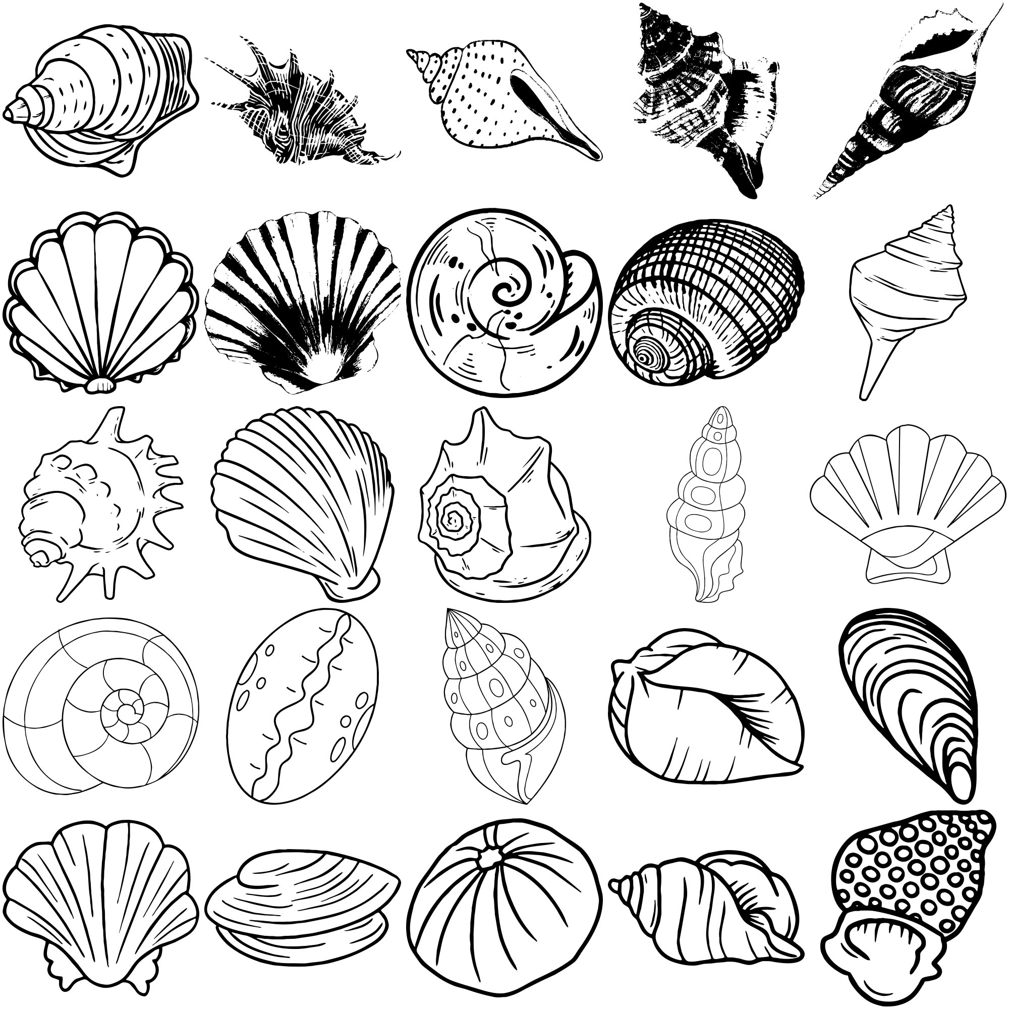 Formes Coquillages (7)