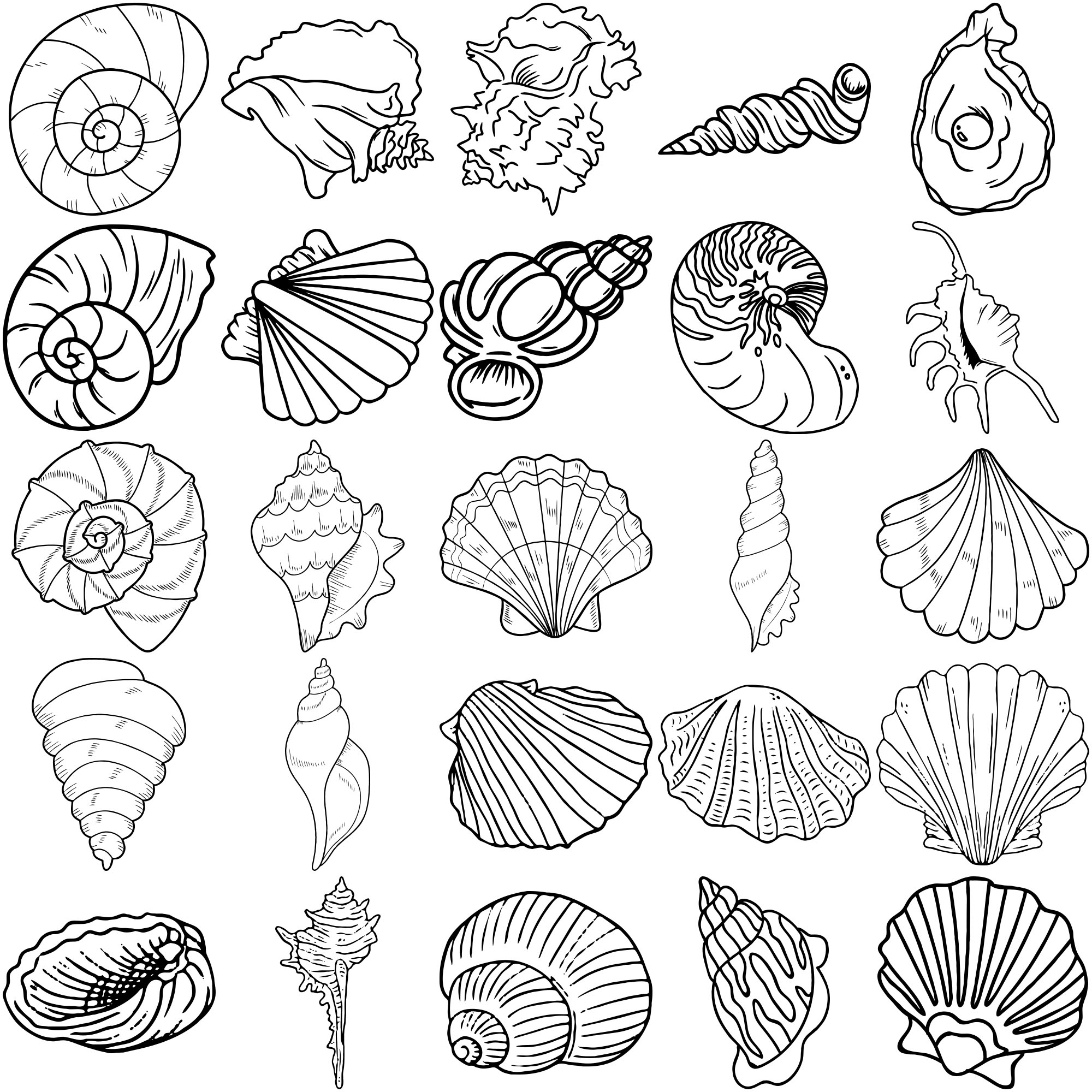 Formes Coquillages (8)