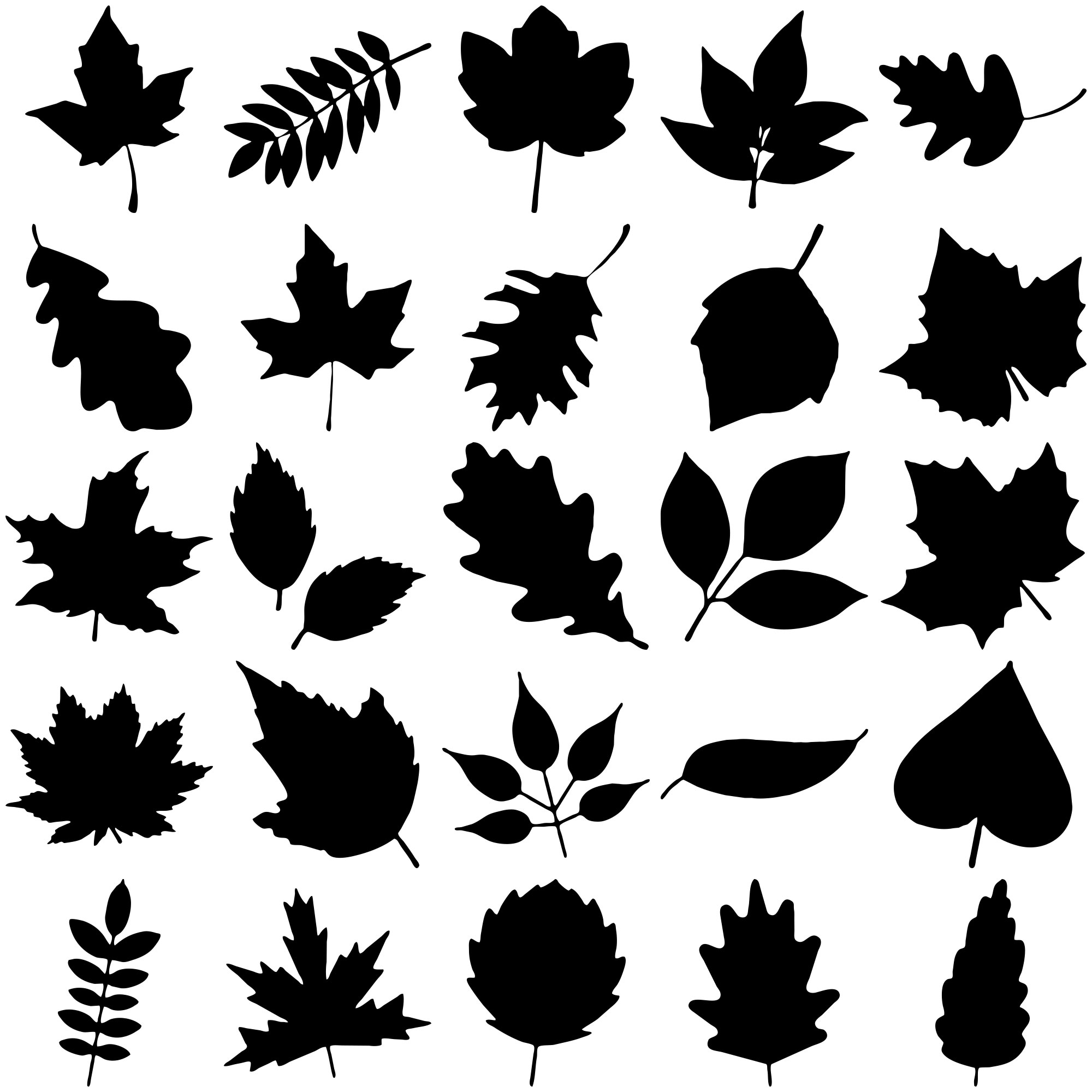 Formes Feuilles (5)