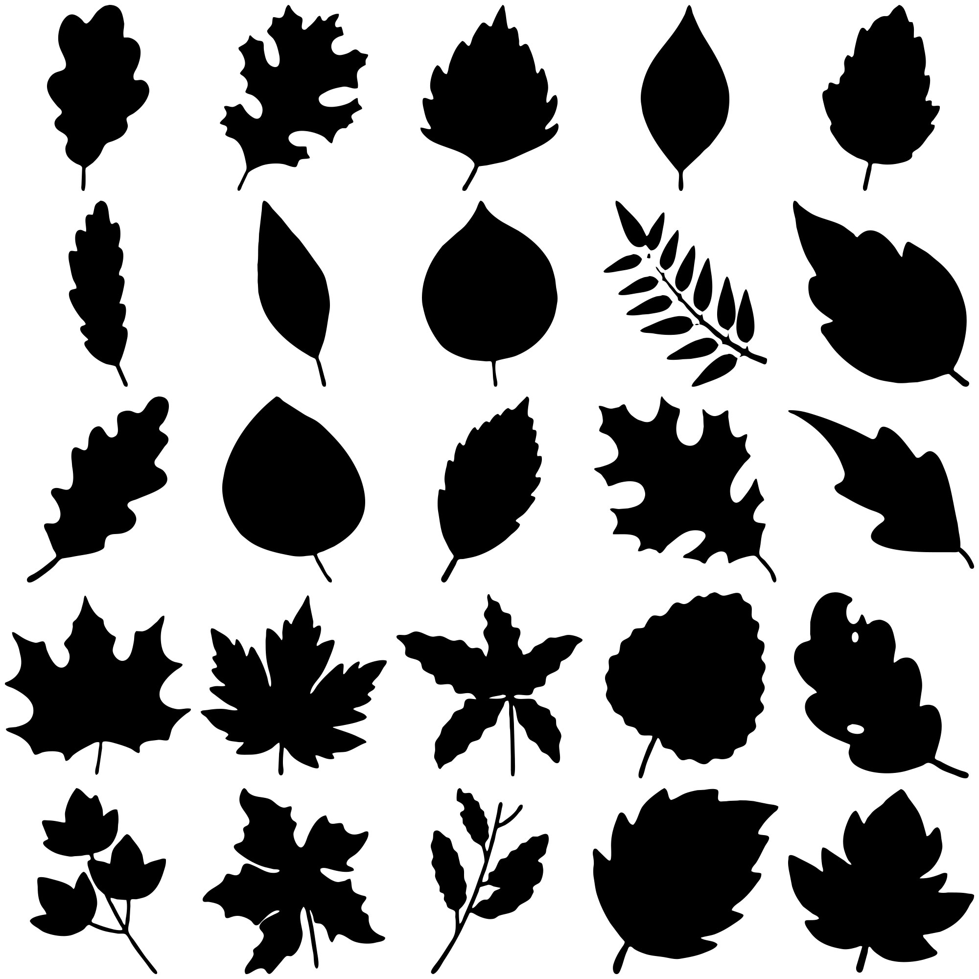 Formes Feuilles (6)