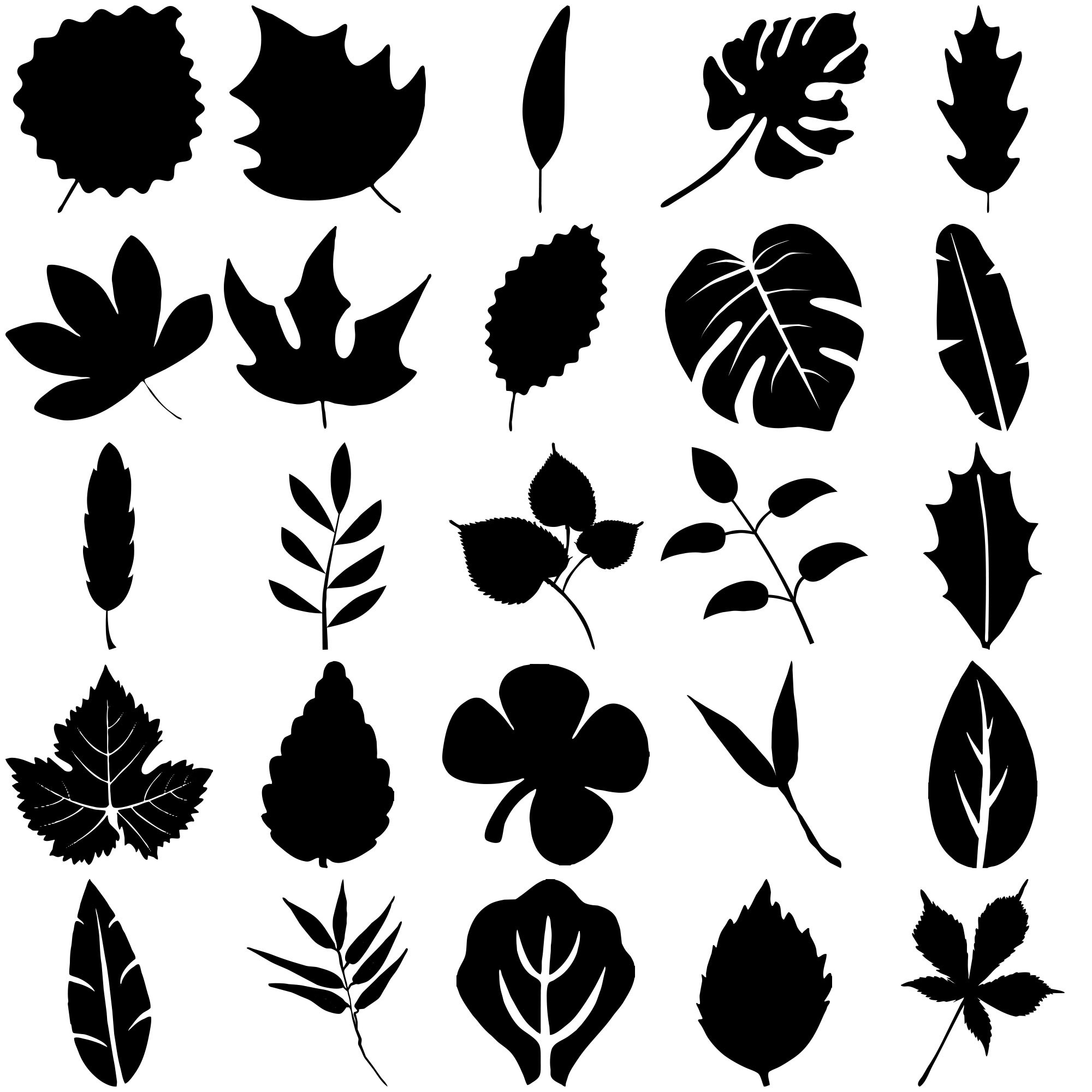 Formes Feuilles (7)