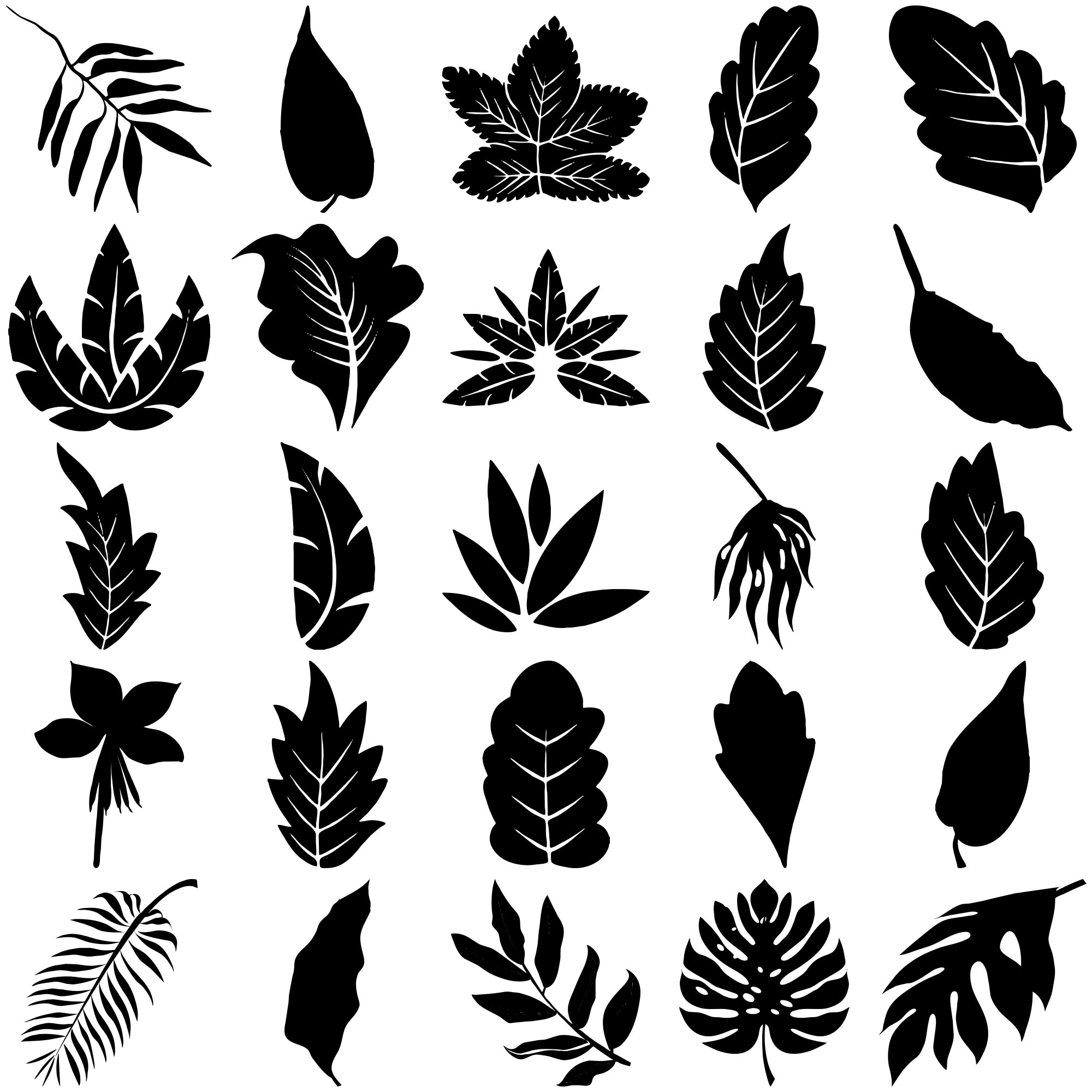 Formes Feuilles (8)