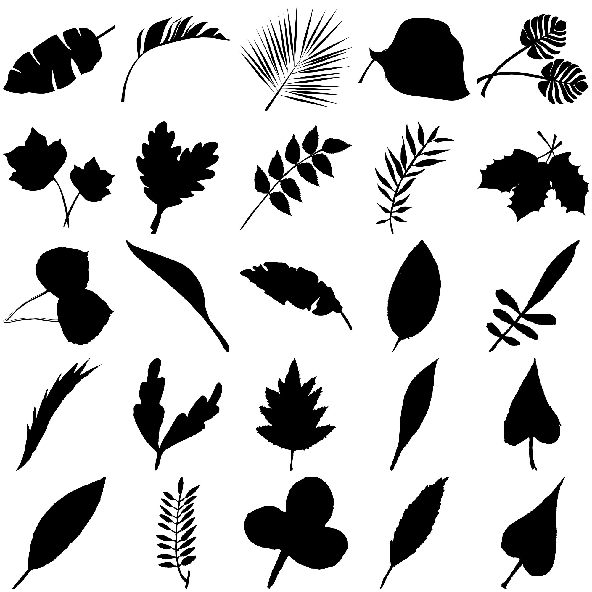 Formes Feuilles (9)