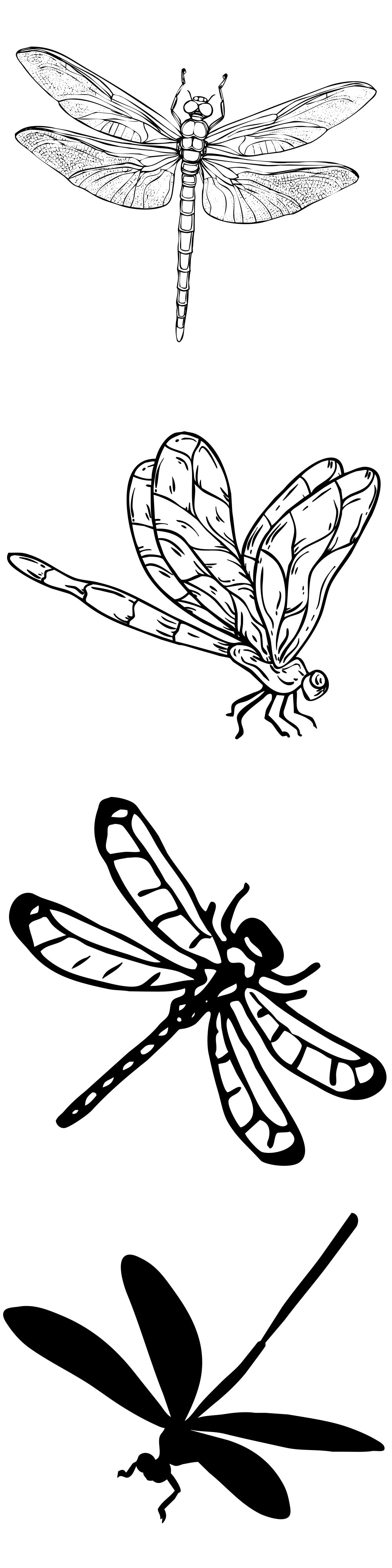 Formes Libellules (3)