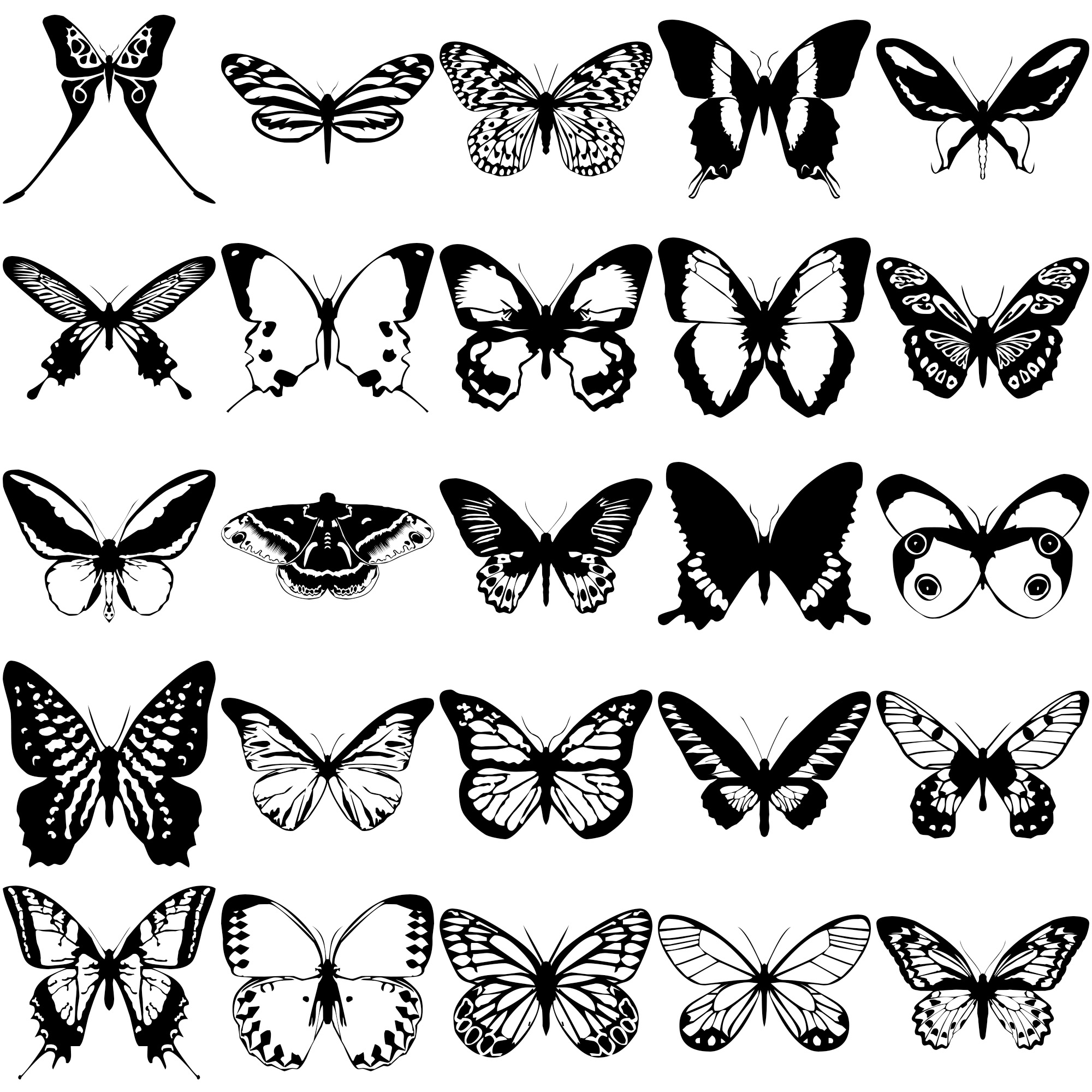 Formes Papillons (10)