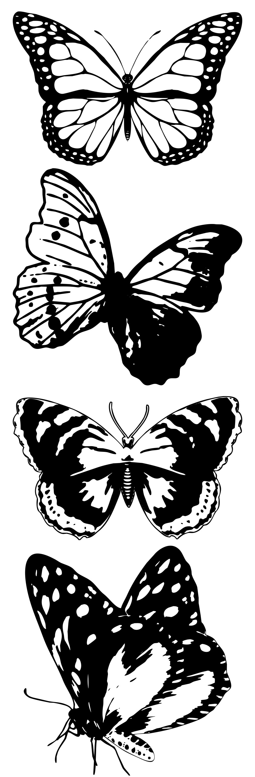 Formes Papillons (4)