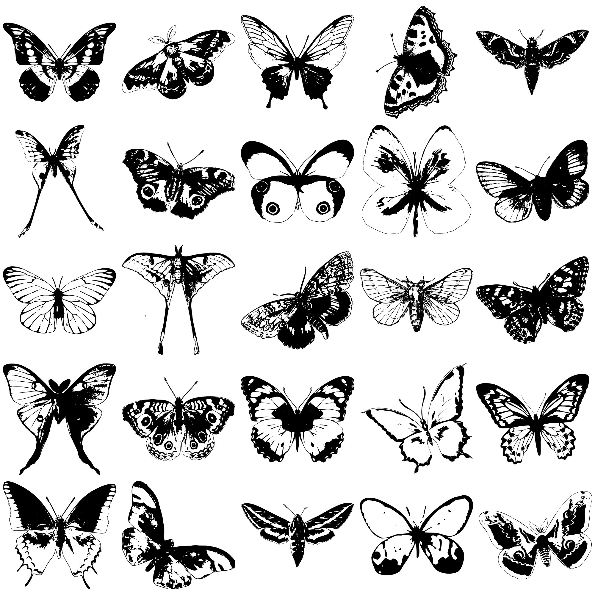 Formes Papillons (5)