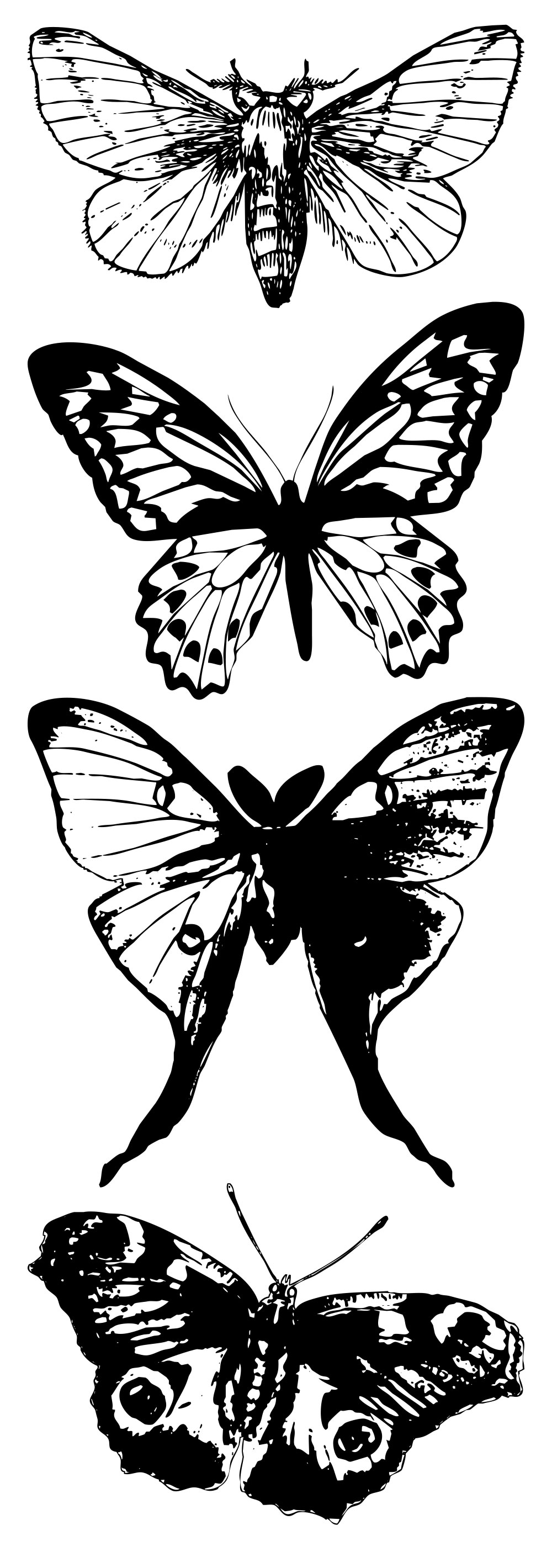Formes Papillons (5)