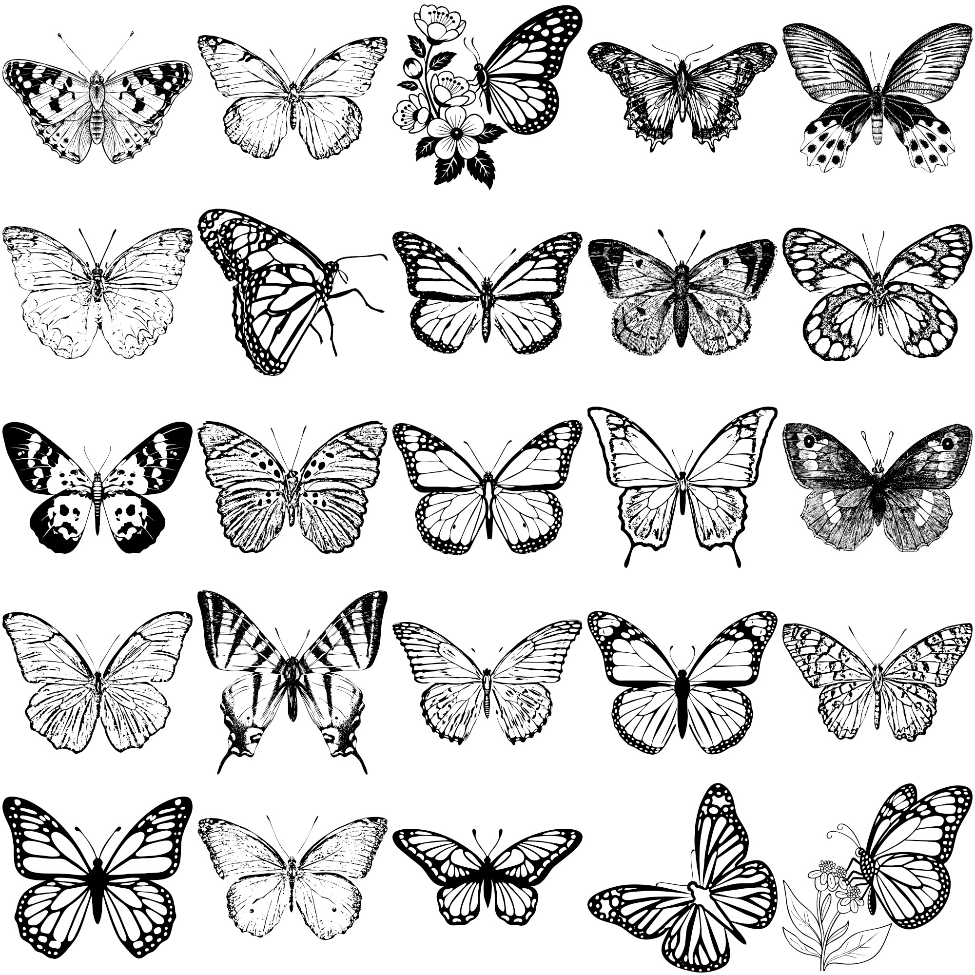 Formes Papillons (7) Formes Papillons (7)