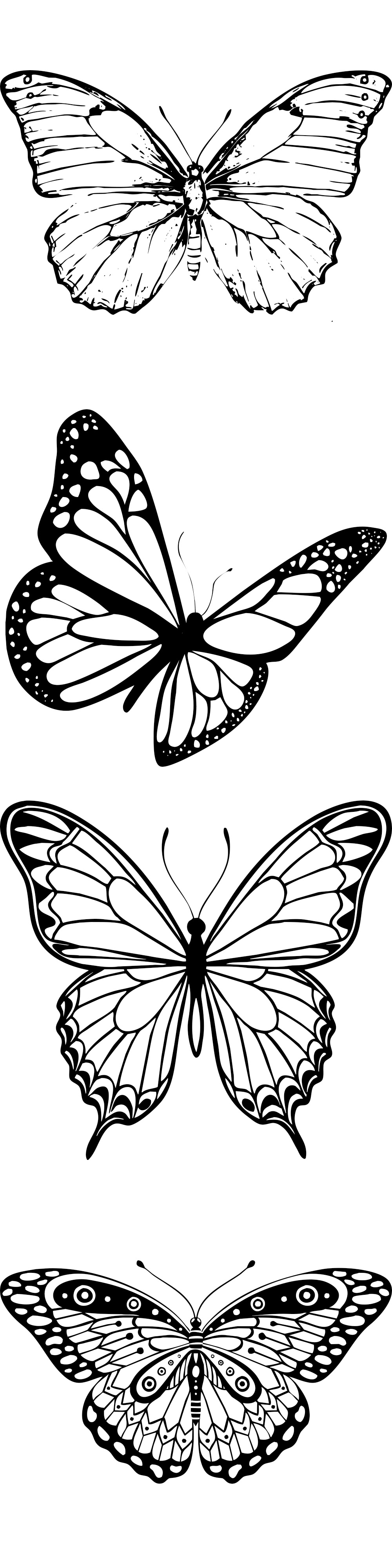 Formes Papillons (8)