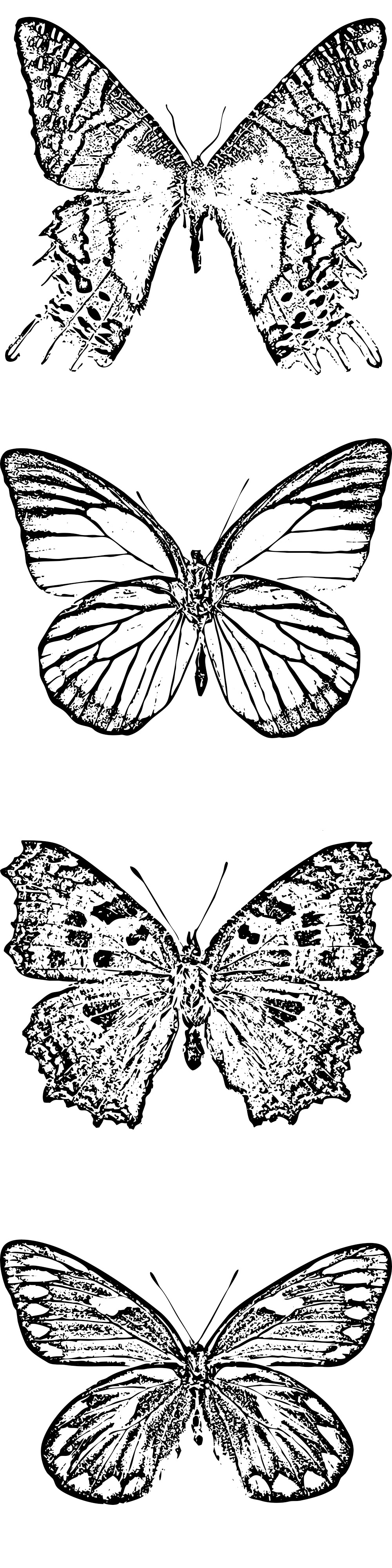 Formes Papillons (9)