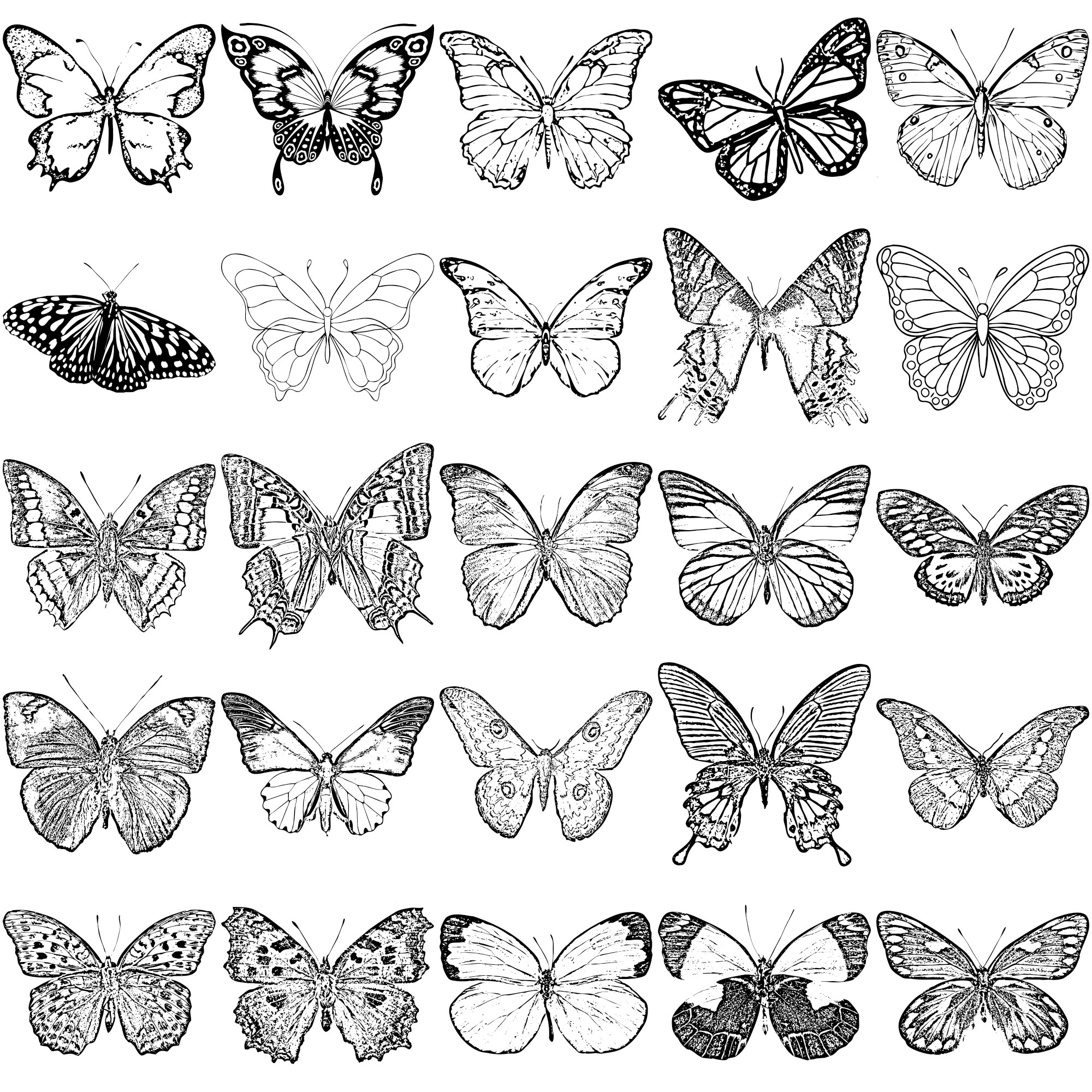 Formes Papillons (9)