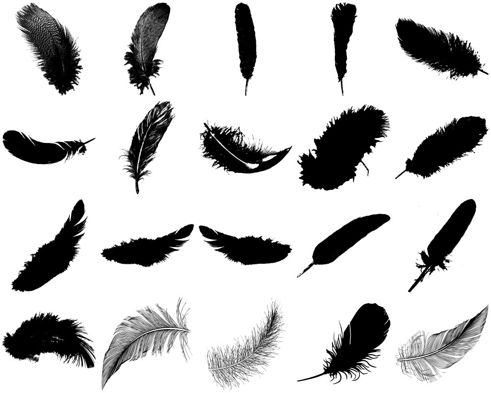 Formes Plumes (2)