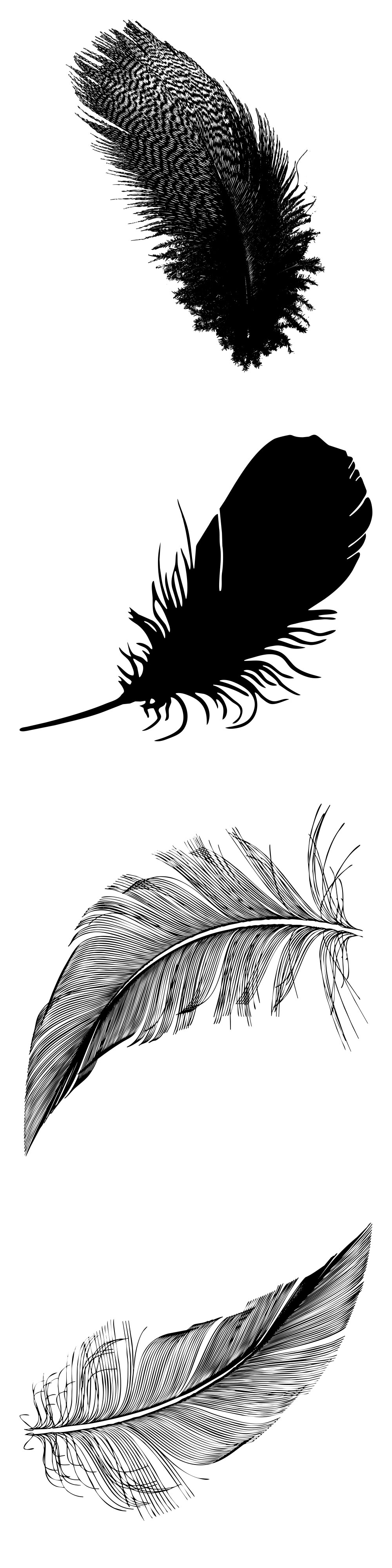 Formes Plumes (2)