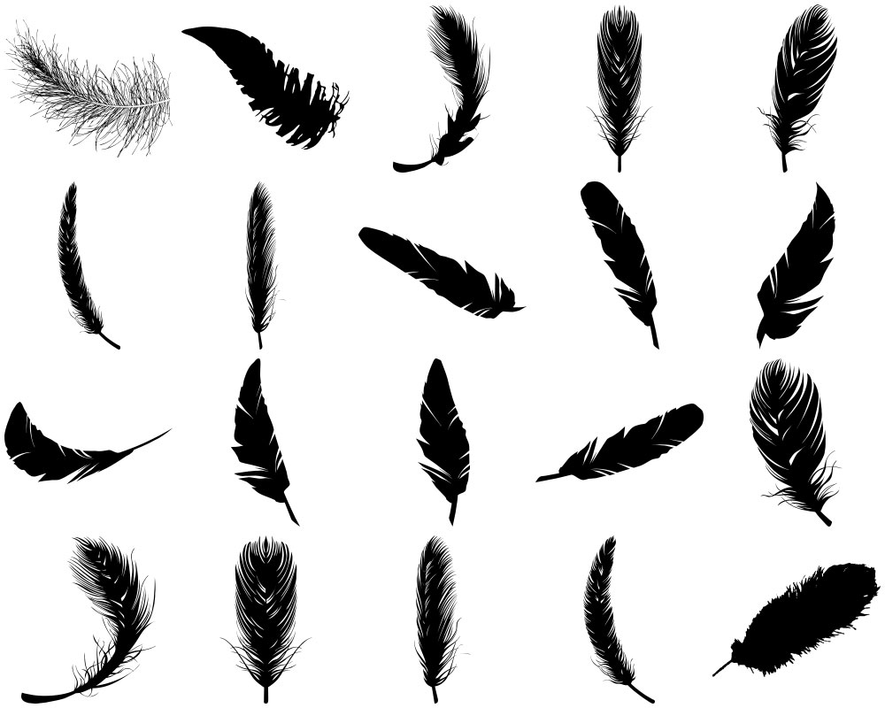 Formes Plumes (3)