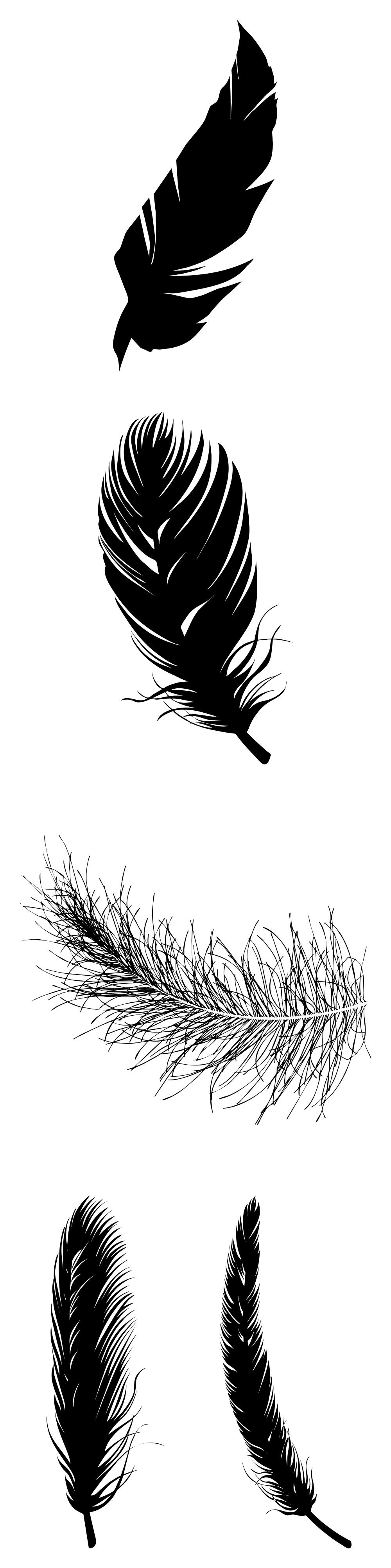 Formes Plumes (3)