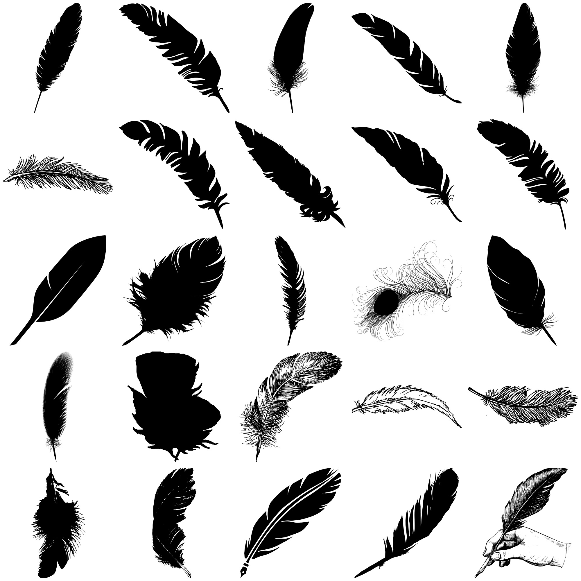 Formes Plumes (4)