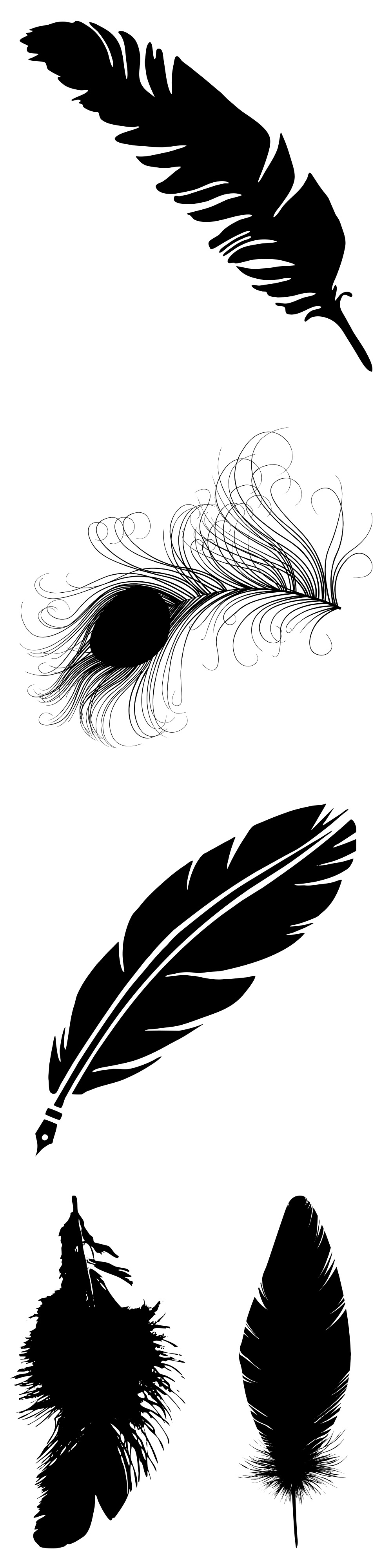 Formes Plumes (4)