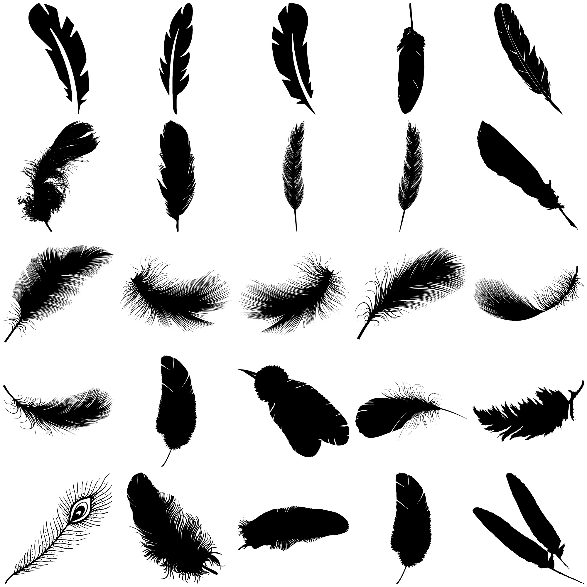 Formes Plumes (5)