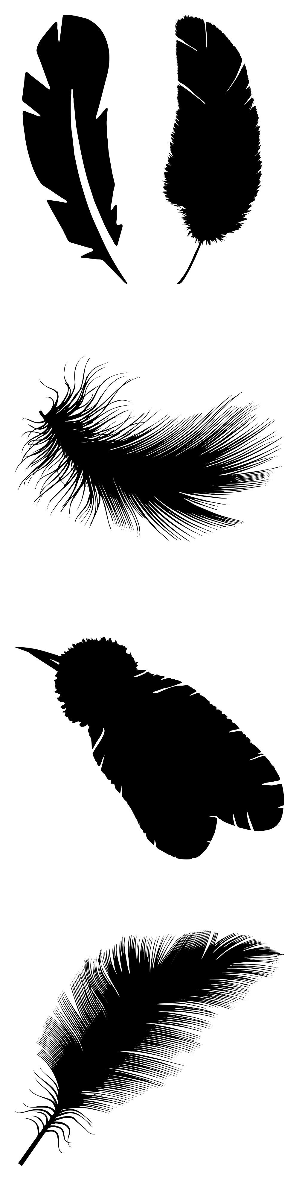 Formes Plumes (5)