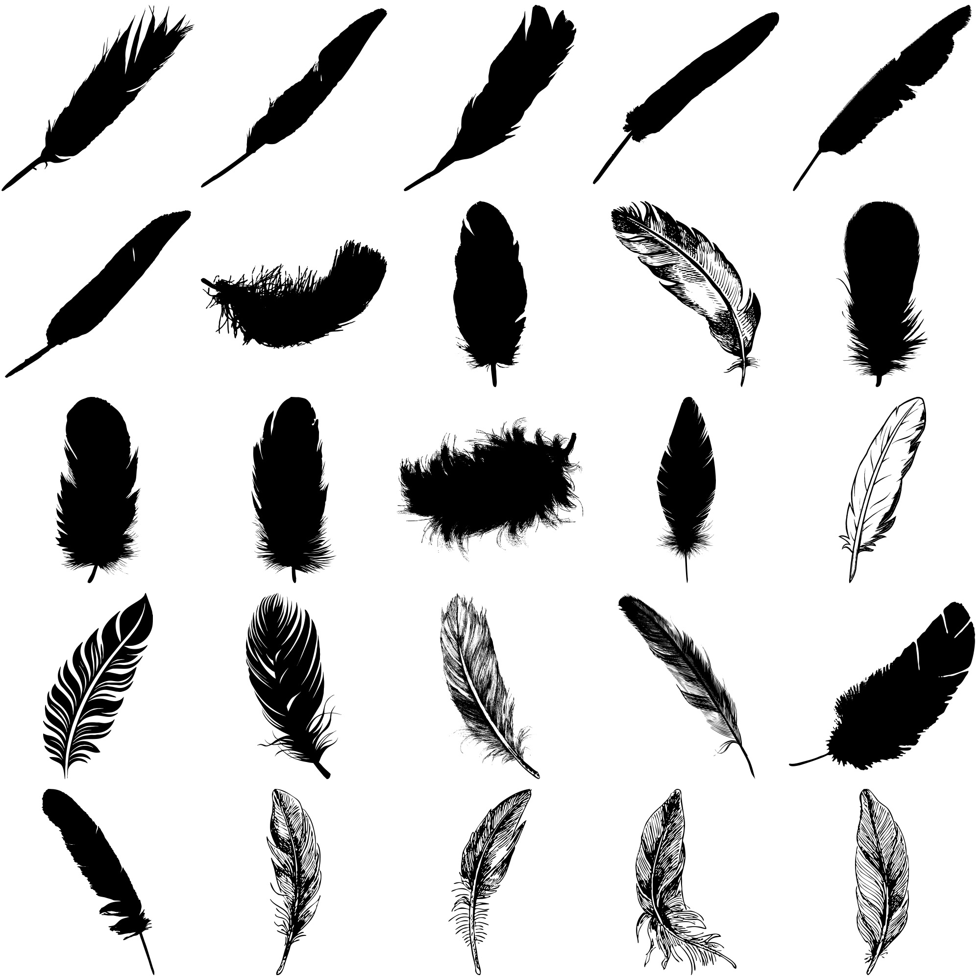 Formes Plumes (6)