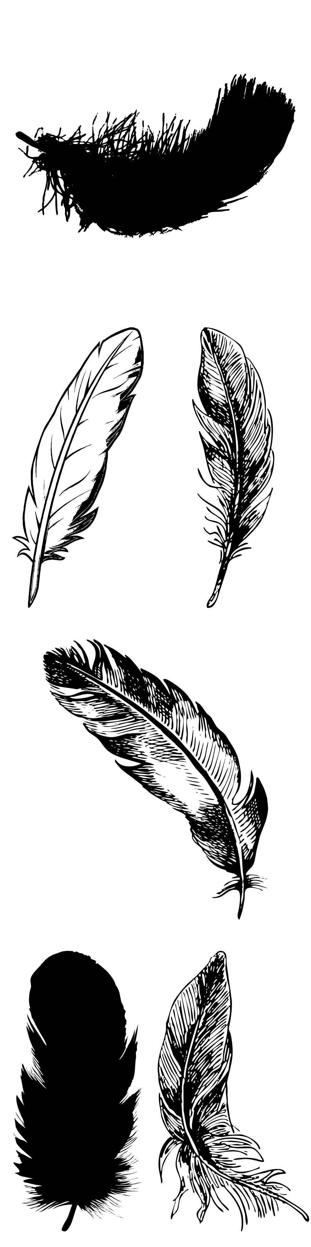 Formes Plumes (6)