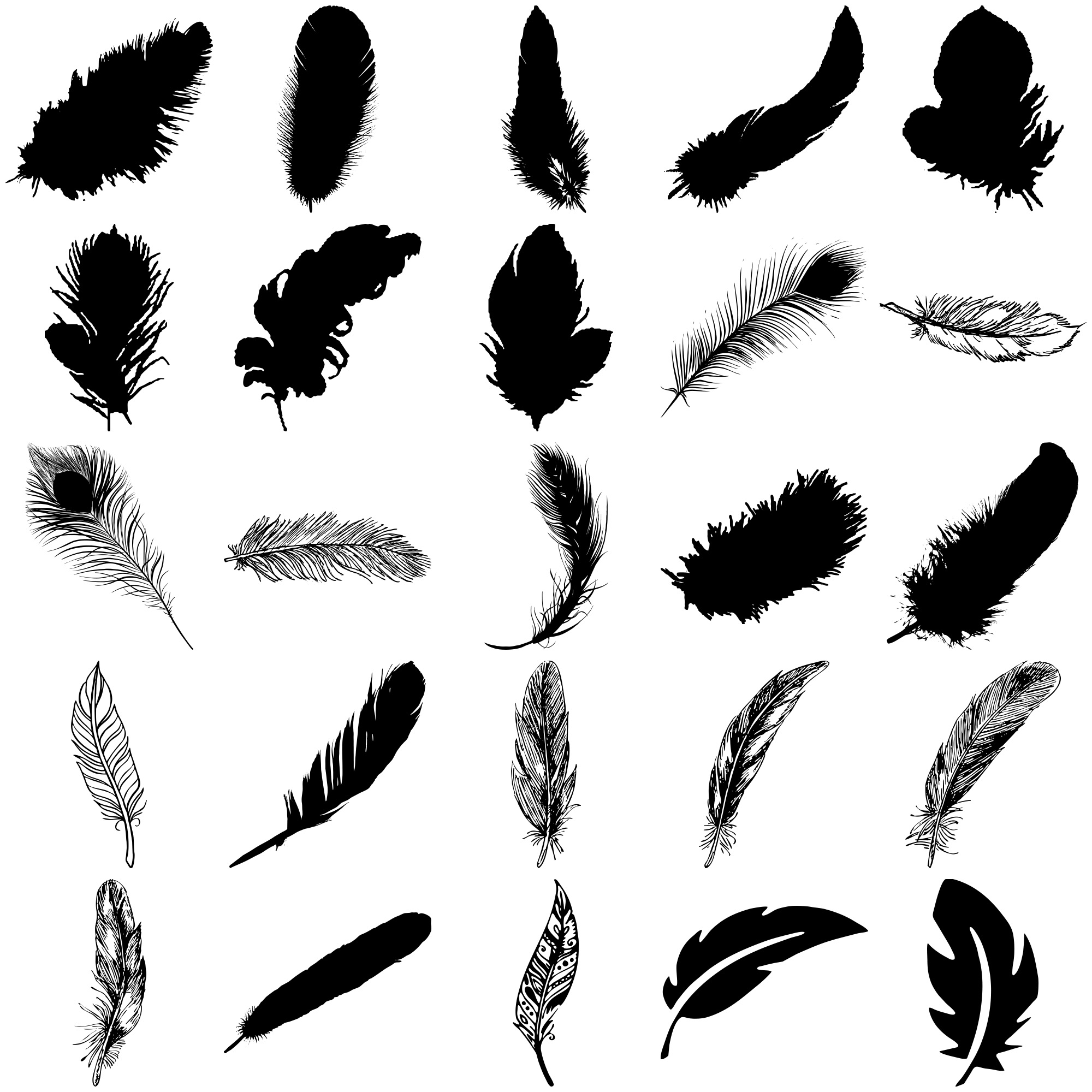 Formes Plumes (7)