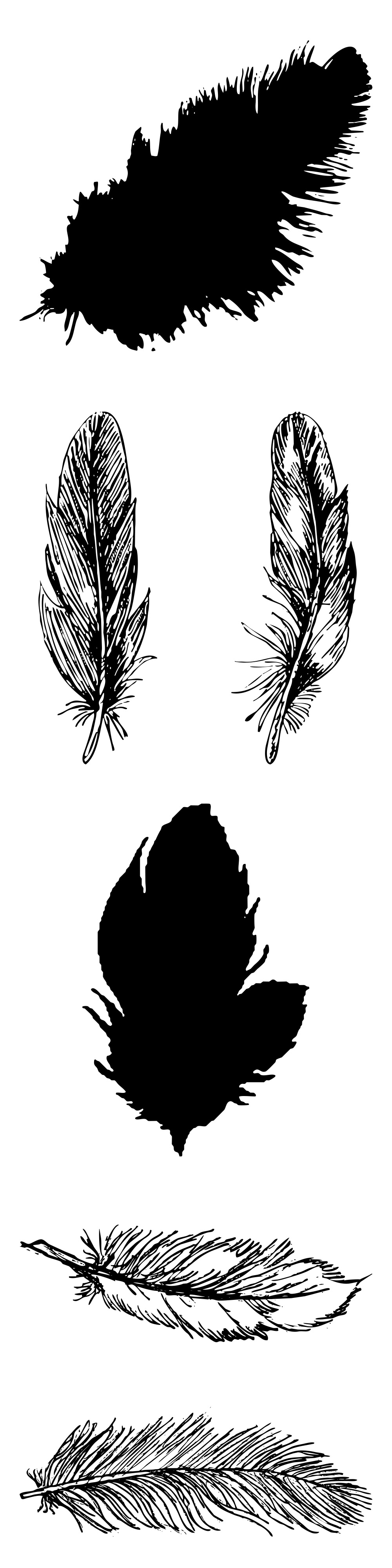 Formes Plumes (7)