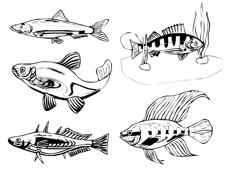 Formes Poissons (3)