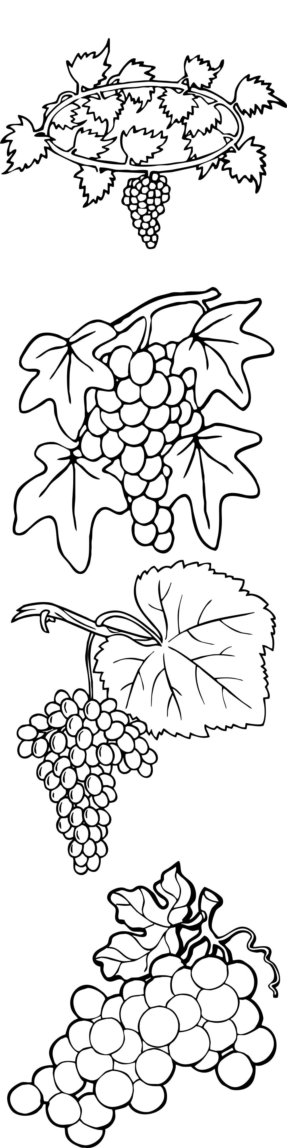 Formes Vigne (1) Formes Vigne (1)