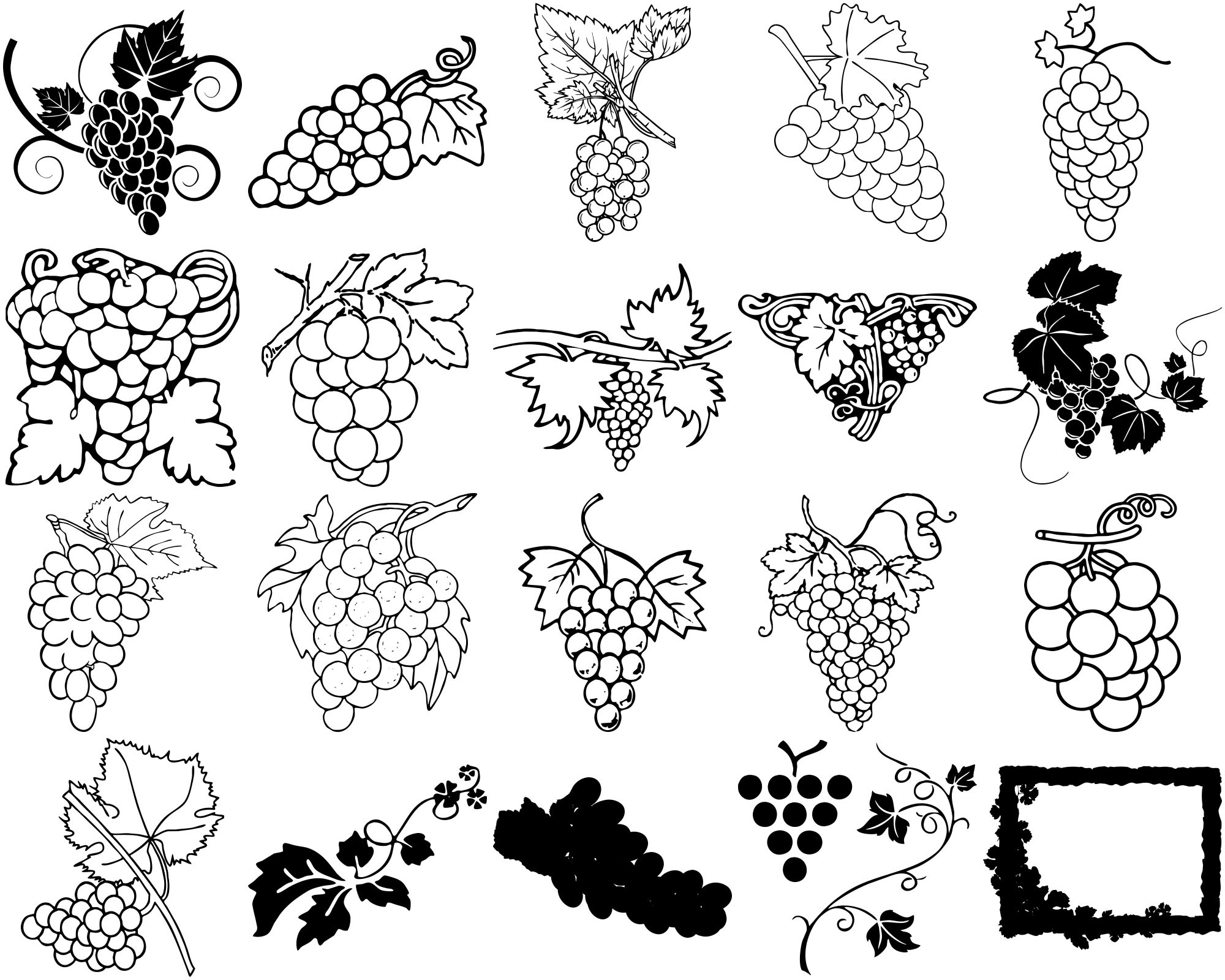 Formes Vigne (2) Formes Vigne (2)