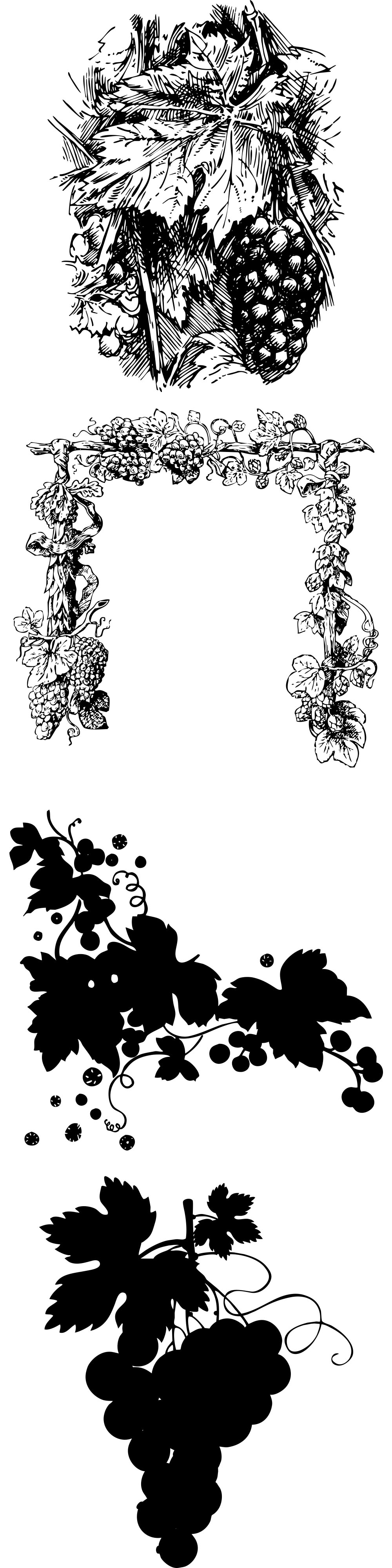 Formes Vigne (3) Formes Vigne (3)