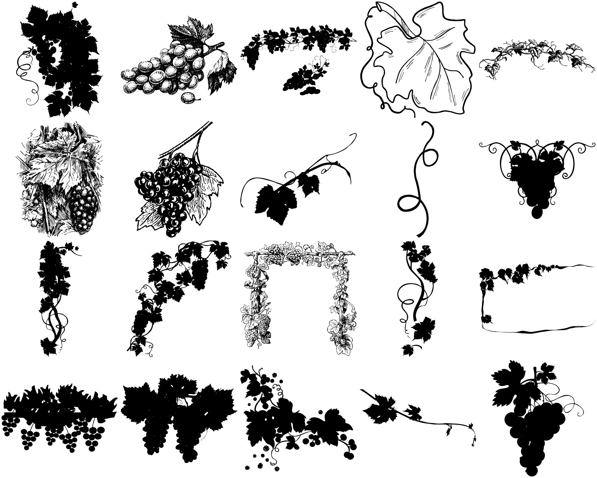Formes Vigne (3) Formes Vigne (3)