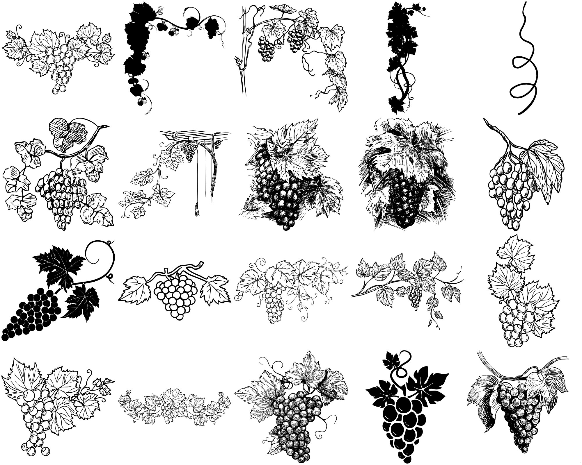 Formes Vigne (4) Formes Vigne (4)