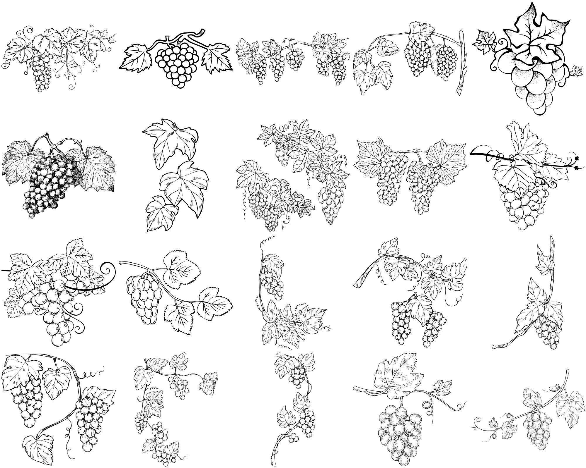 Formes Vigne (5)