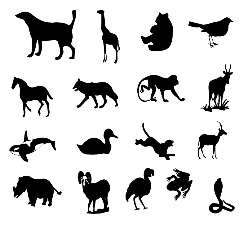 Formes Animaux 4