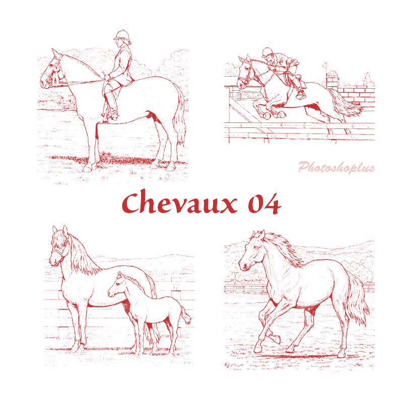 Formes Chevaux 4