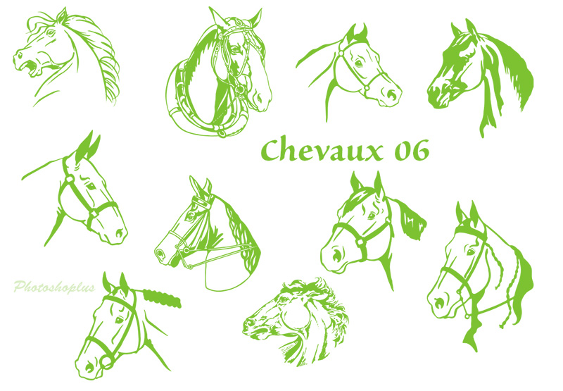 Formes Chevaux 6