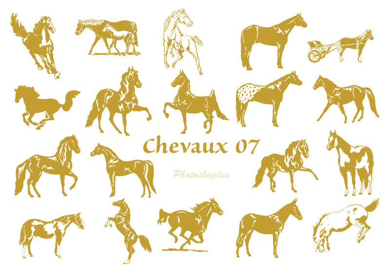 Formes Chevaux 07