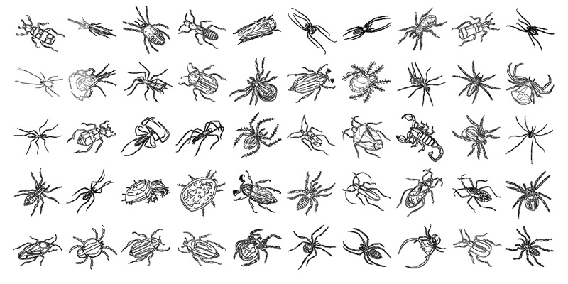 Formes personnalisées Insectes 01