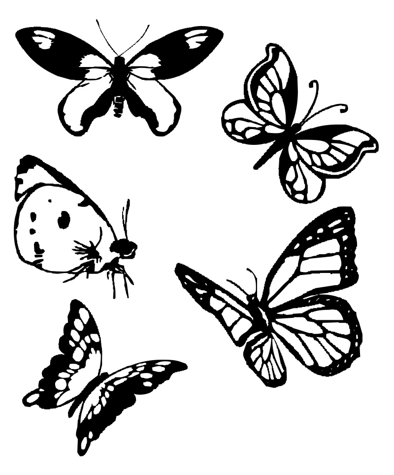 Formes personnalisées Papillons 03